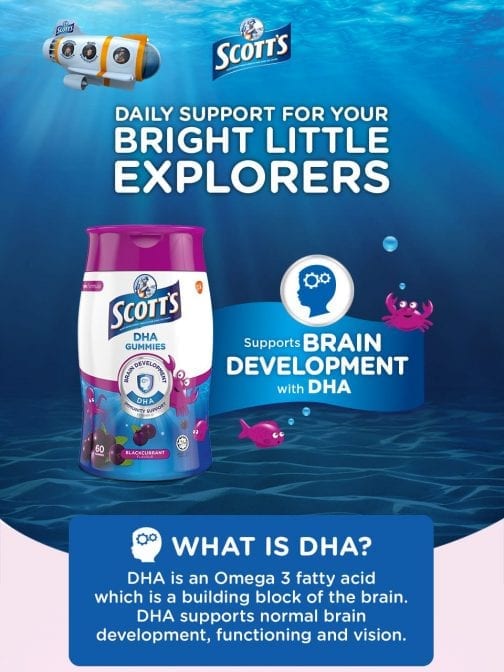 DHA Gummies Blackcurrant Flavour Brain Development with DHA